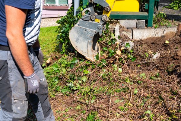 Hedge Removal Service in Modesto