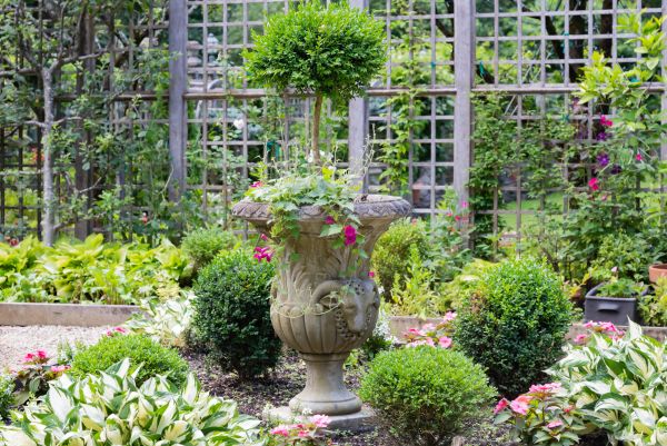 Cost of Topiary Pruning in Modesto
