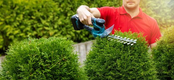 Hedge Shaping Service in Modesto