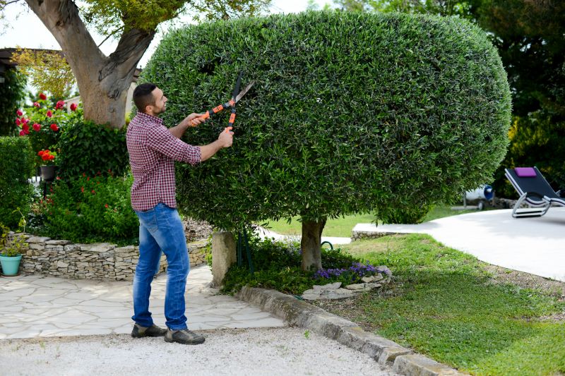 Shrub Shaping